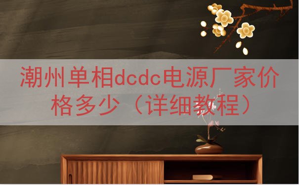 潮州单相dcdc电源厂家价格多少（详细教程）